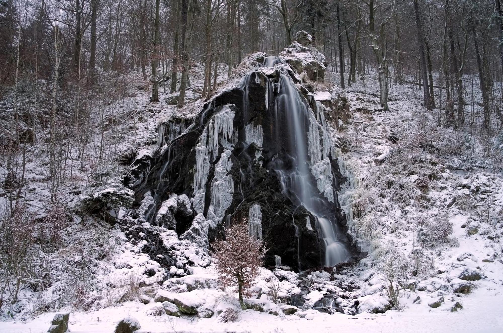 Bezaubernde Fewo Harzer-Perle mit Dampfdusche Bad Harzburg Exterior foto